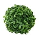 thumbnail image 1 of Bola de césped artificial de planta milanesa, bola decorativa de plástico con flores artificiales, bola de césped artificial, 1 of 3
