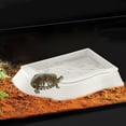 thumbnail image 5 of 10.8x7.8x1.3in Non-Slip Reptile Water Bowl - ABS Turtle Pond with Climbing Zones, Multi-Purpose Bathing Pool for Turtles/Snakes/Lizards(White/A), 5 of 9