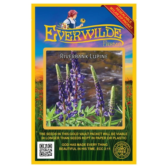 Everwilde Farms - 100 Riverbank Lupine Native Wildflower Seeds - Gold Vault Jumbo Bulk Seed Packet