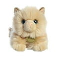 thumbnail image 4 of Aurora - Small Brown Miyoni - 8.5" Persian Cat - Realistic Stuffed Animal, 4 of 5