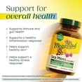 thumbnail image 4 of MegaFood Sea Moss Complex, Gut & Immune Support Supplement, 120 Capsules, 60 Servings, 4 of 10