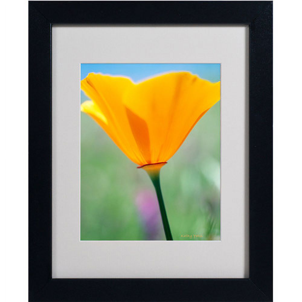 Trademark Fine Art "California Poppy Closeup" Matted Framed Canvas Art by Kathy Yates