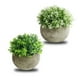 thumbnail image 1 of Bonsái de planta simulada, 2 piezas de planta simulada en maceta, decoración de escritorio, bonsái simulado magistralmente creado, 1 of 9