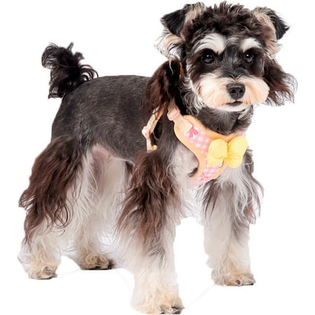Small Dog Chest Harness with Bow Cute Harness for Kitty Puppy Bunny djustable Kitten Harness and Leash Set