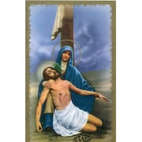 Pieta N holy card - laminated - Pack of 25