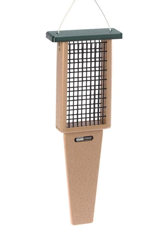 Suet Feeders in Bird Feeders