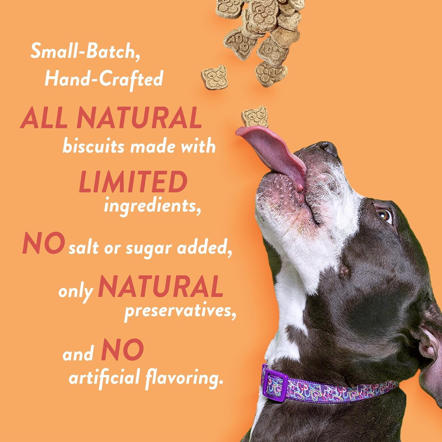 Spunky Pup D6190 6ct 10oz Cheddar Crunch Biscuits
