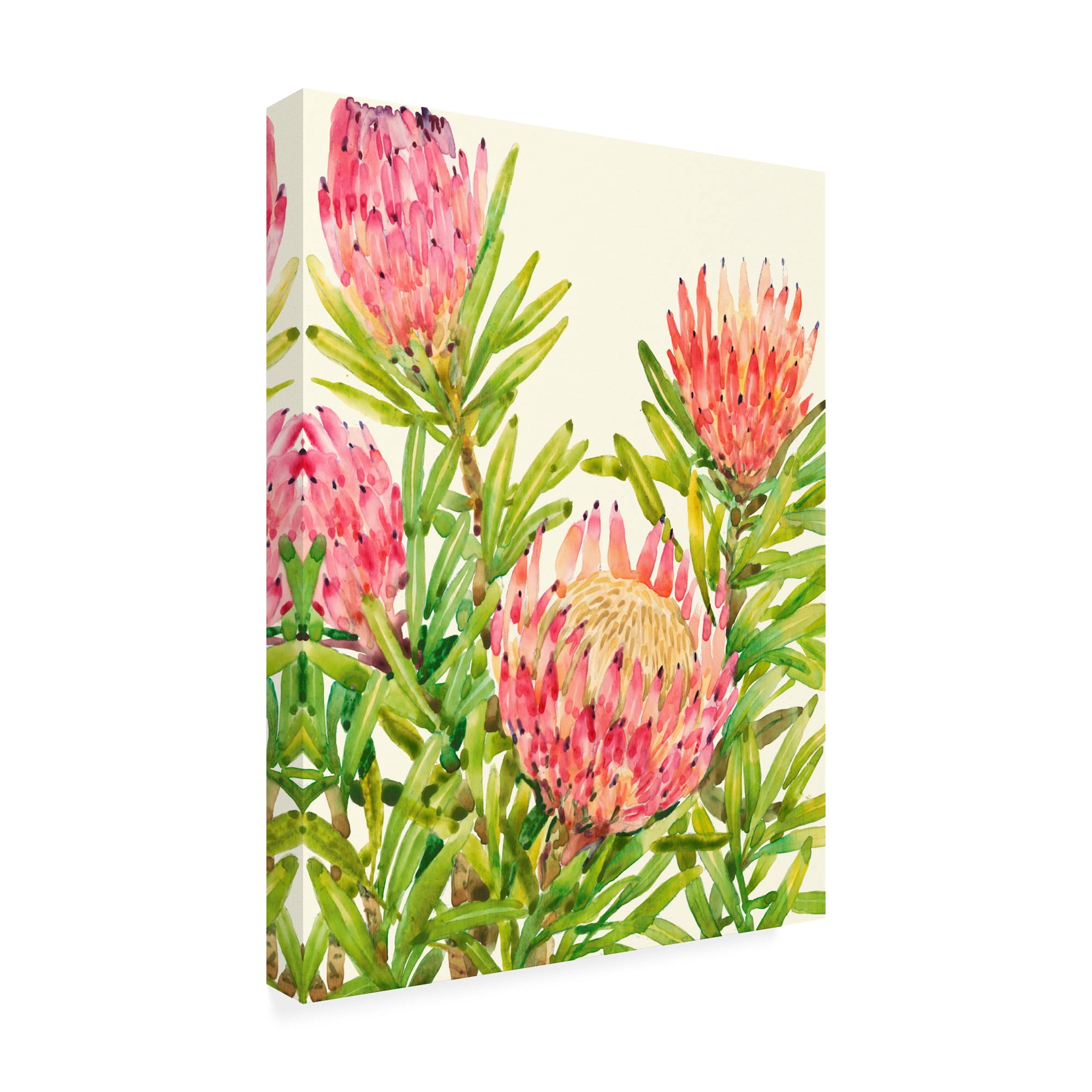 Trademark Fine Art 'Watercolor Tropical Flowers II' Canvas Art by Tim OToole
