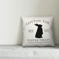thumbnail image 2 of Creative Products Cotton Tail Easter Treats 20x20 Spun Poly Pillow, 2 of 2