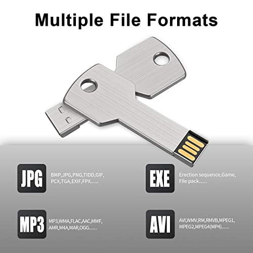 RAOYI Lot de 10 Clé USB 2 Go USB 2.0 en Métal en Forme de Clé Clé Mémoire Clé USB Clé USB - Argent