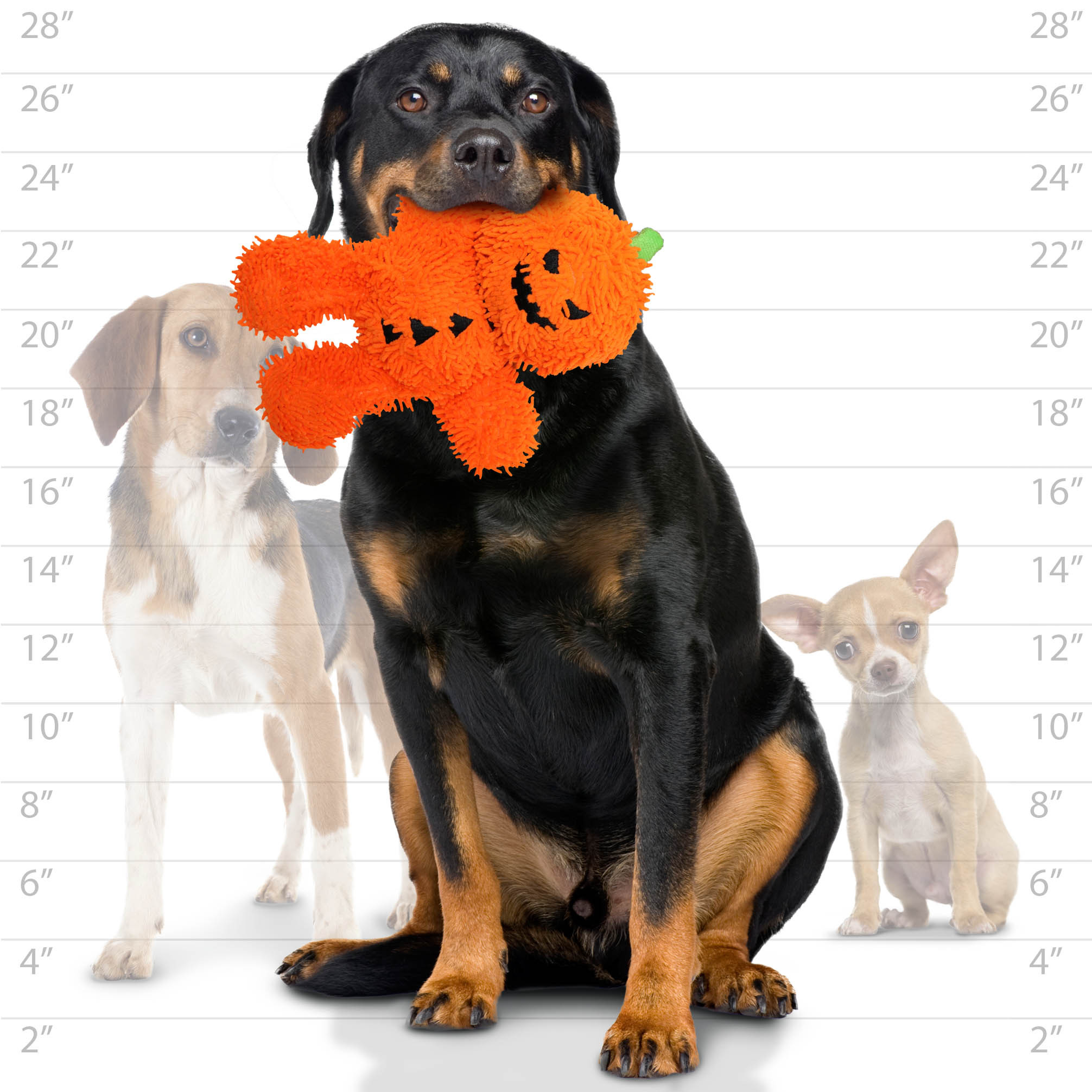 Mighty Microfiber Ball Pumpkin Man, Halloween Durable Squeaky Dog Toy