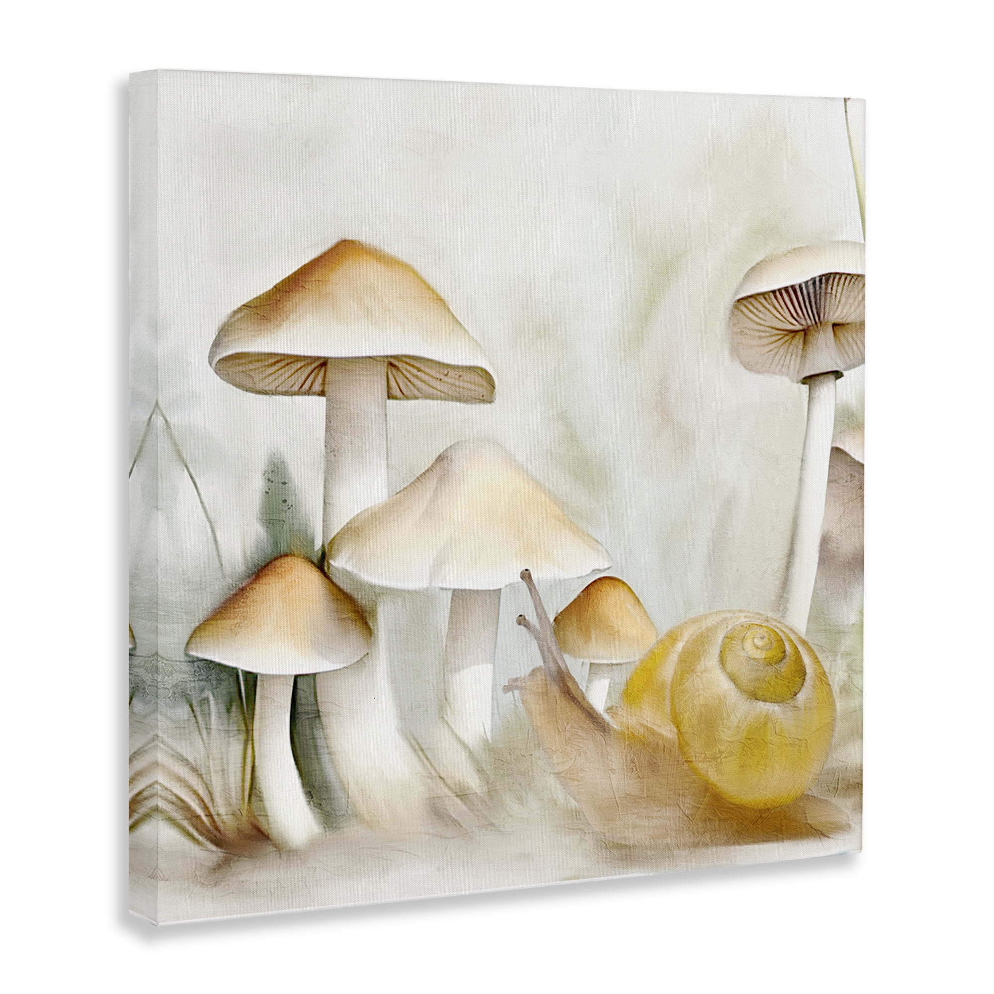 Stupell Industries Snail & Natural Mushrooms Plants & Flowers Painting Wrapped Canvas Art Print Wall Art, 24 x 24