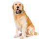 thumbnail image 3 of Rastreador GPS para Mascotas Collar GPS Inteligente Onlyliua, 3 of 7