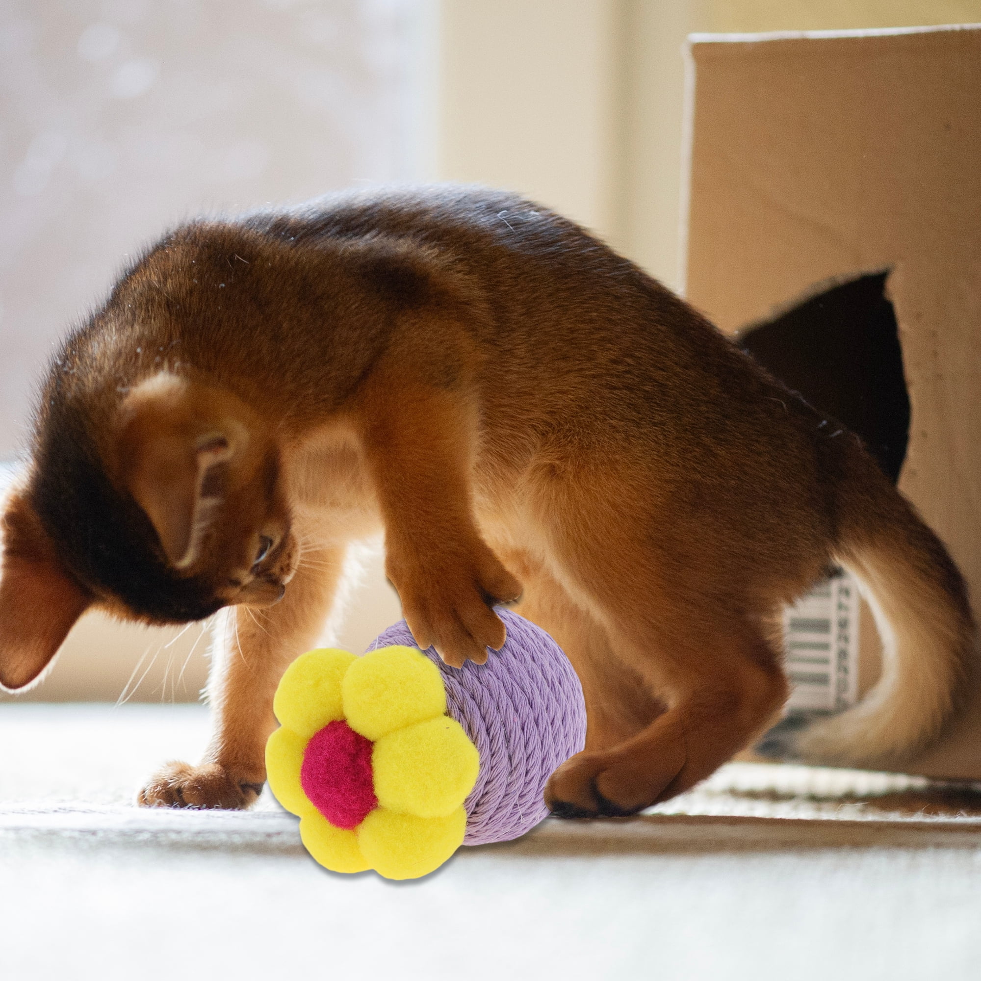 Unique Bargains Safe Teeth Cleaning Chew Balls Purple