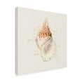 thumbnail image 2 of Katie Pertiet 'Shell Collector III' Canvas Art, 2 of 3