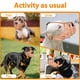 thumbnail image 5 of Muzzle Mayerzon Pitbull Rottweiler para perros grandes y medianos, 5 of 8