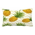thumbnail image 1 of YUSDECOR Hand Drawn Pineapple Bed Decor Pillow Cases Zippered Cushion Cover Size 20x30 Inches, 1 of 1