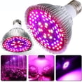 thumbnail image 1 of Lámpara de cultivo de plantas de interior para complementar la luz solar, lámpara de cultivo de espectro completo de alta eficiencia que acelera el crecimiento y aumenta el rendimiento, segura y, 1 of 8
