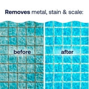 HTH Metal & Stain Defense Liquid Pool Chemical, Stain Preventer, For All Pool Types, 1 Qt