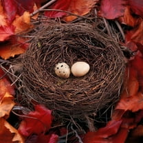 Handmade Rattan Bird Nest 15Cm, Natural Rattan Material, Each Unique Handcrafted Design With Subtle Manual Differences, Perfect For Bird Habitat Garden Home Decoration Photography