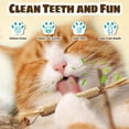 thumbnail image 2 of HFLWYWD Nylatails Silvervine Dental Stick, Palitos Masticables Silvervine para Gatos, Juguetes Naturales de Hierba Gatera para la Limpieza Dental de Gatitos, Nylatails Silvervine Dental Sticks,, 2 of 8