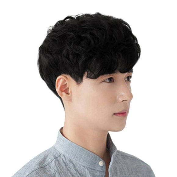 Fashion Synthetic Short Wigs for Men Wig Man Male Brown Black Wig New