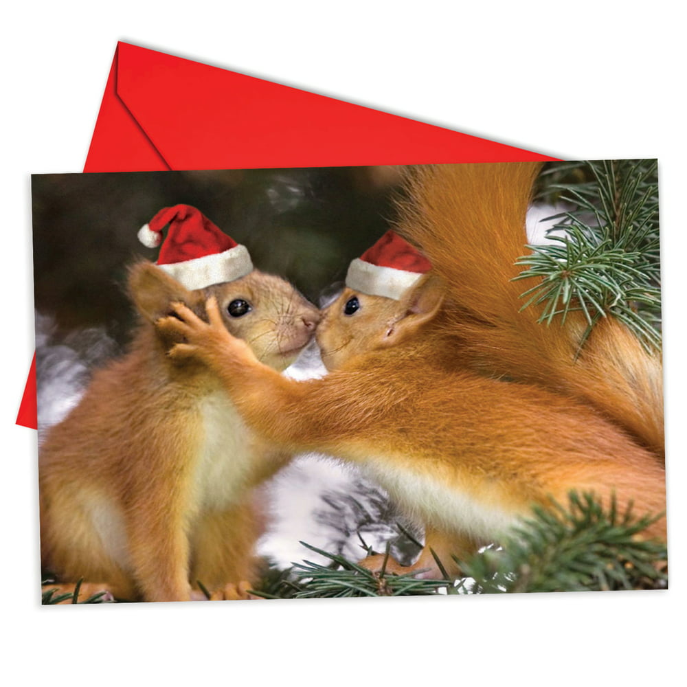 B6594ixsg Holiday Animal Smackers Christmas Cards Box Set Of 12 Funny