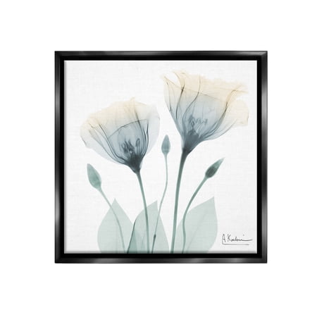 Stupell Industries Opaque Tulip Duo Botanical & Floral Photography Black Floater Framed Canvas Art Print Wall Art 18 x 18