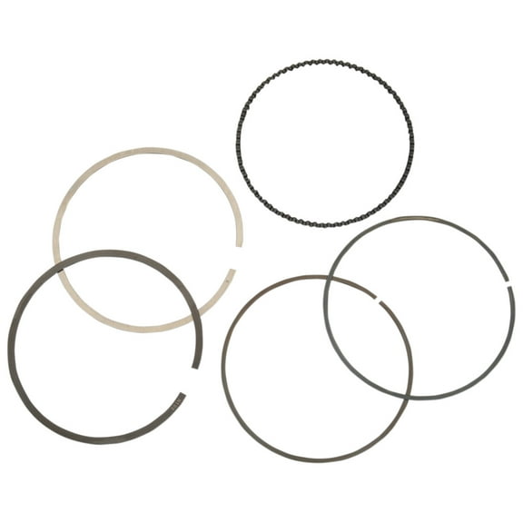 Moose Racing CPN-4016 Piston Ring fits Suzuki King Quad