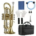 thumbnail image 1 of Cornet,Professional With Paint Professional Cloth Brushes Bb With Cloth And, 1 of 7