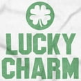 thumbnail image 2 of Saint Patricks Lucky Charm Shamrock Plus Size Graphic Tank Top Brisco Brands 3X, 2 of 5
