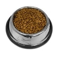 thumbnail image 2 of Perrísimo Plato De Acero Inoxidable Anti derrapante 24 Oz Color Acero Con Negro, 2 of 2