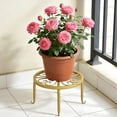 thumbnail image 4 of WSZZL Nordic Style Wrought Iron Flower Rack, Strong Load-Bearing Design for Large Pots, Elevated Ventilation for Healthy Plants, Perfect Indoor Decor for Living Balcony, 4 of 6