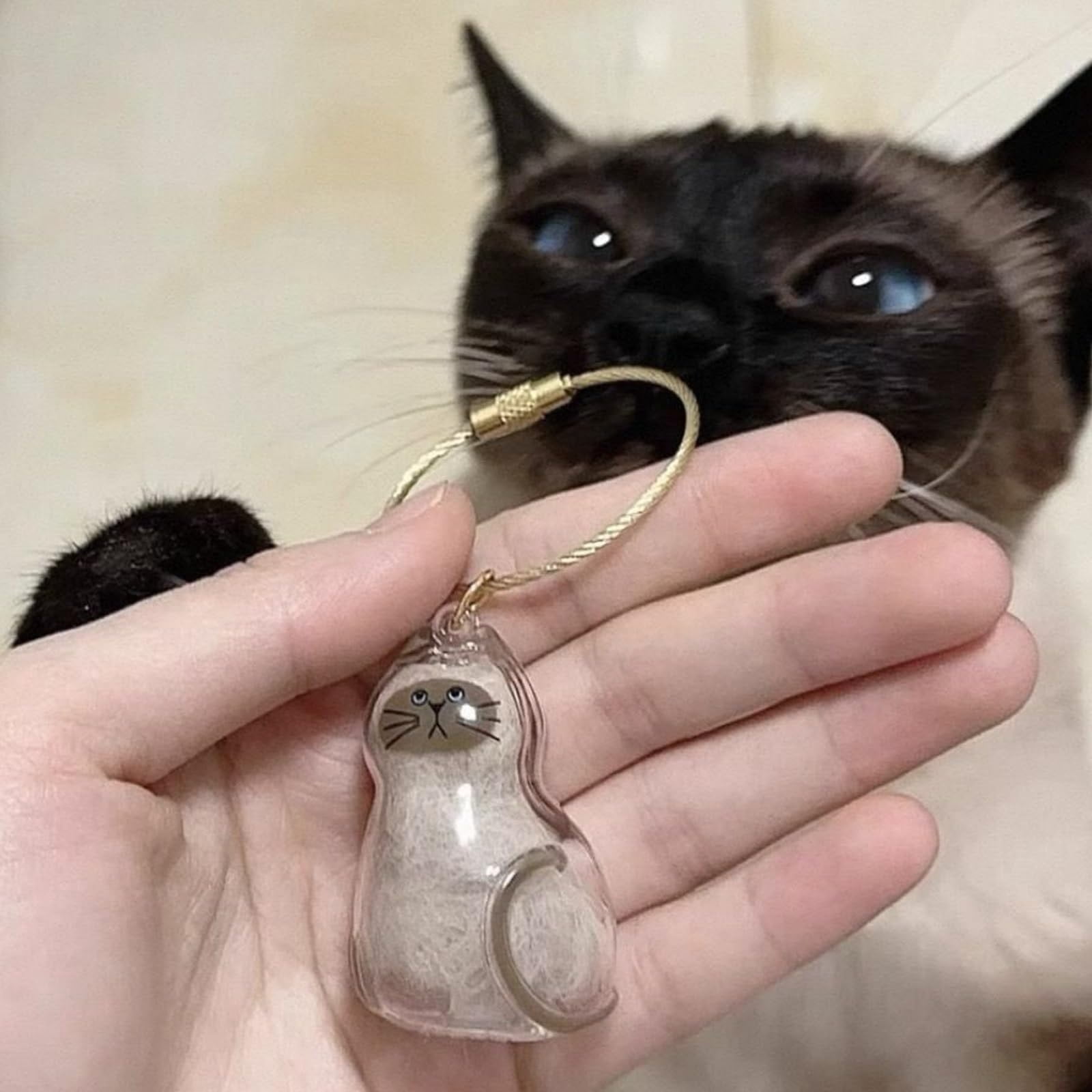 Cat Hair Keepsake Capsule Keychain, Pet Memorial Bottle for Collecting and Storing Cat Hair, Portable Hair Storage Jar for Cat Lovers and Pet Loss Remembrance Gifts