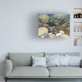 thumbnail image 2 of Stephen Stavast 'Shoreline Treasures' Canvas Art, 2 of 4