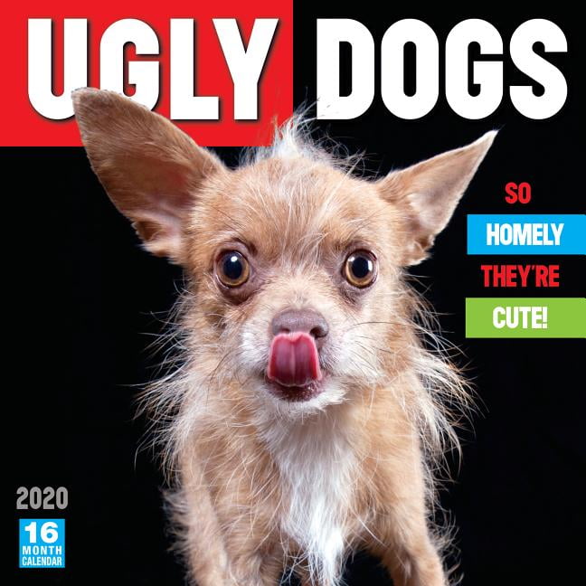 2020 Ugly Dogs So Homely They're Cute 16Month Wall Calendar By