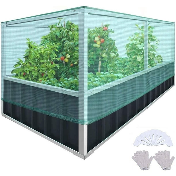 king bird raised garden bed instructions