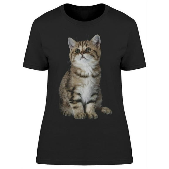 Scottish Kitten Looking Up T-Shirt Women -Image by Shutterstock Women T-Shirt, Female XX-Large