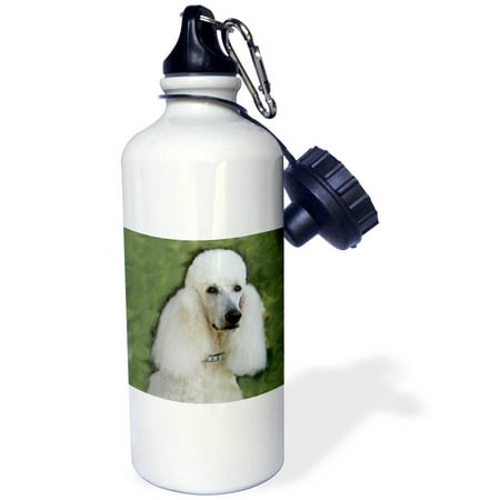 

3dRose Standard Poodle Sports Water Bottle 21oz