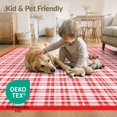 thumbnail image 4 of ODIKA 6'x9' Washable Area Rug Easy Care, Non-Shedding, Front Door Plaid Gingham Farmhouse Border Tartan Grid Motif Throw for Queen Size Bedroom Under Bed Master Suite, 4 of 7