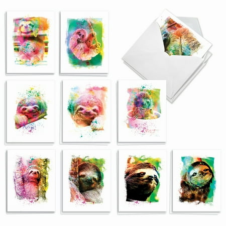The Best Card Company 20 Assorted Thank You Notes Boxed Set 4 x 5.12 Inch with Envelopes (10 Designs, 2 Each) Funky Rainbow Sloth AM6866TYG-B2x10