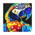 thumbnail image 4 of Macaw Flamboyance Pop - Canvas, 4 of 25