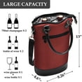 Tirrinia Insulated Wine Carrier Tote Travel Padded 2 Bottle Wine