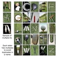 thumbnail image 5 of Personalized Golf Framed Canvas Wall Art, Live Preview, Choose Each Photo, Multiple Options, 5 of 6