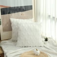 thumbnail image 5 of Juego de 2 fundas de almohada decorativas de terciopelo polar corto de felpa suave, funda de cojín cuadrada, 5 of 5
