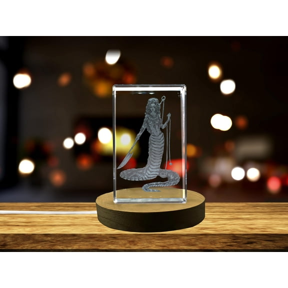 Echidna 3D Engraved Crystal 3D Engraved Crystal Keepsake/Gift/Decor/Collectible/Souvenir