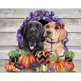 thumbnail image 2 of Sheena Pike Art 14x12 Black Ornate Wood Framed with Double Matting Museum Art Print Titled - Sweet Halloween Couple Puppies, 2 of 4