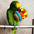 thumbnail image 2 of Pet Bird Bites Toy Parrot Chew Ball Swing Cage Hanging Cockatiel (Cachorros) JShteea Libre de BPA, 2 of 8
