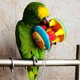 thumbnail image 2 of Sywqhk Pet Bird Bites Toy Parrot Chew Ball Swing Cage Hanging Cockatiel (Cachorros) Sywqhk Para estrenar, 2 of 6