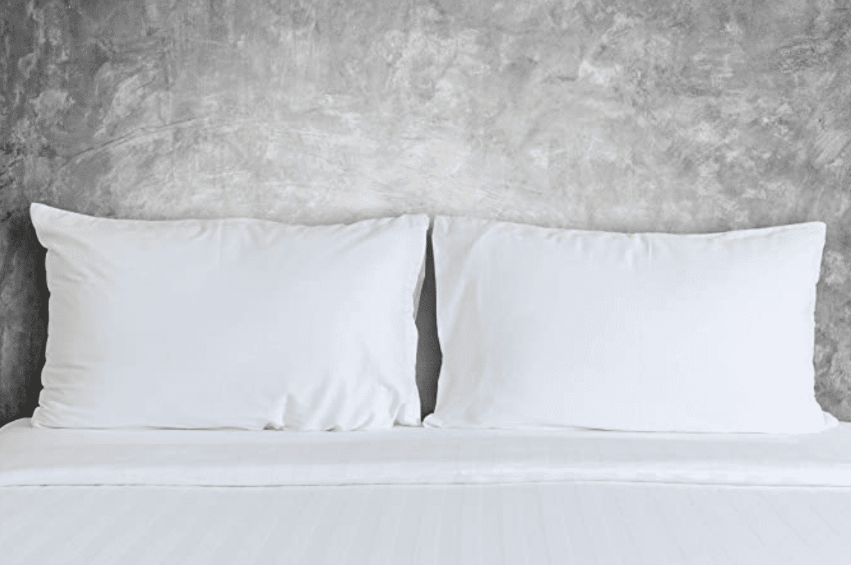 Pillowtex High End White Goose Down Soft Queen Size Pillow